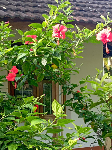 Others 5, Gramam Homestay, Cochin, Ernakulam