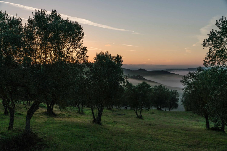 3, Borgo La Pievina - Pool Villa, Siena
