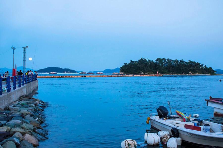 Others 4, Changwon Cozy Pension, Masan