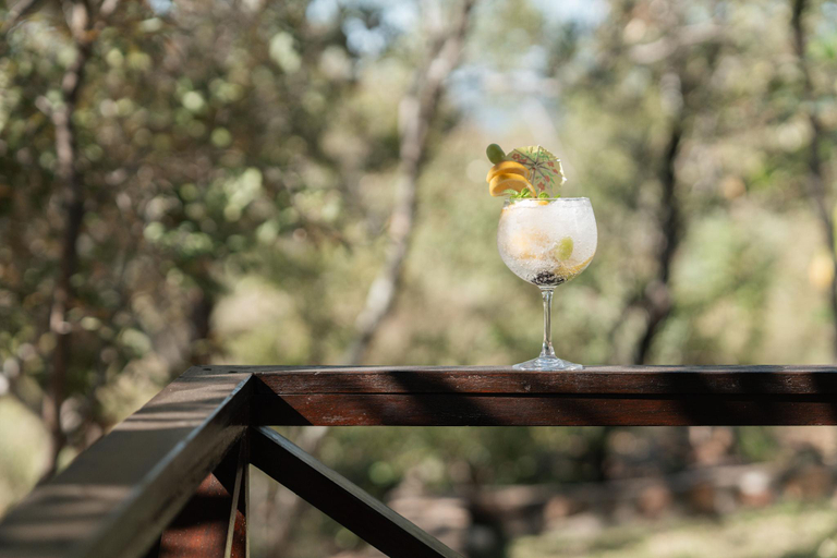Food & Drinks 5, Mmakuba Private Game Lodge , Waterberg