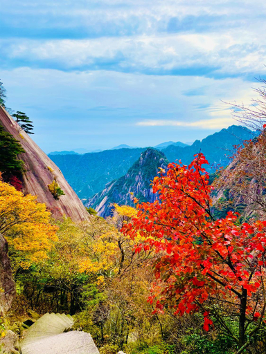 Food & Drinks 5, Floral Hotel Huangshan Songye, Huangshan