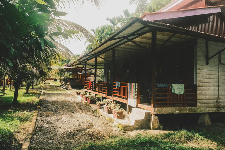 Others 5, Pondok Oma for Solo Traveller, Simeulue