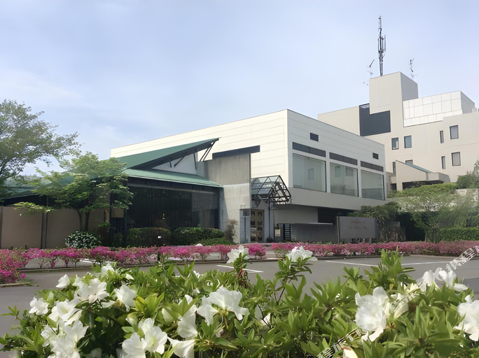 Others 2, Central Hotel Kamojima, Yoshinogawa