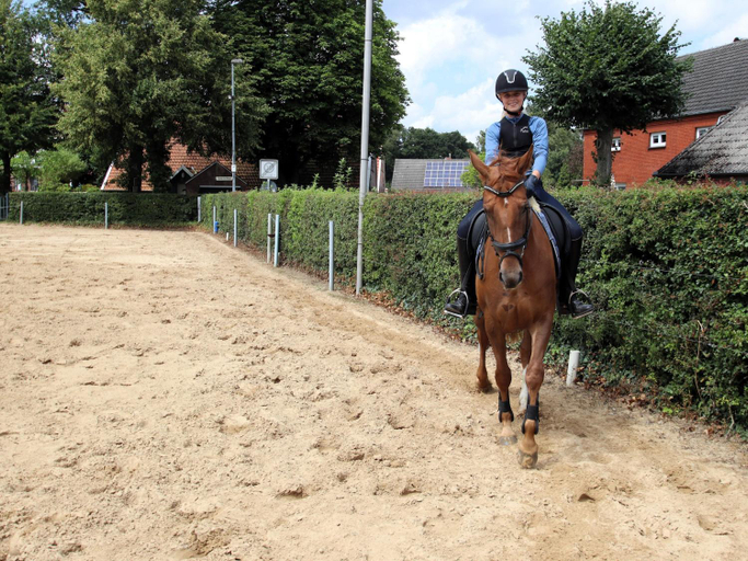 Others 5, Ferienwohnungen in Strackholt, Aurich