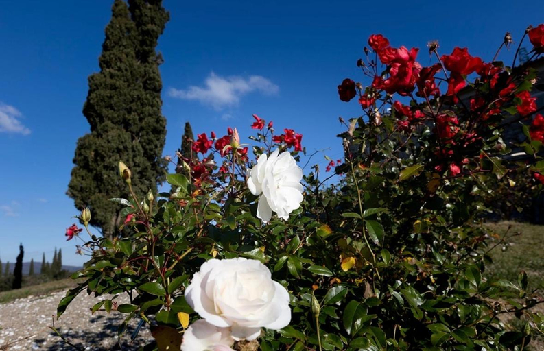 Others 5, Agriturismo il Ghiaccio, Livorno