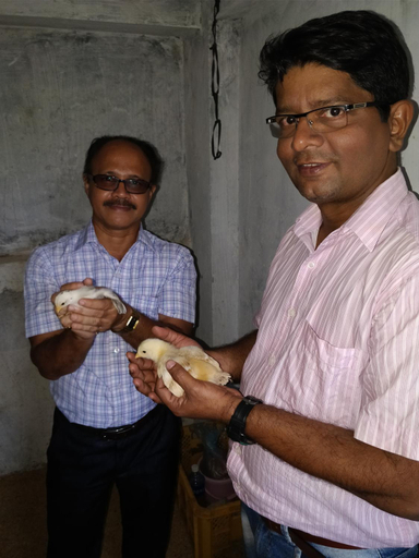 Food & Drinks 5, Sneha Farm House, Sindhudurg