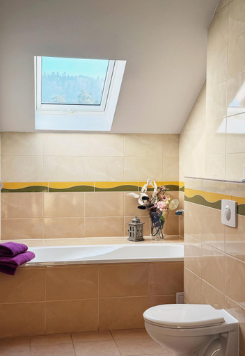 Bathroom 2, Dworek nad Wisla, Cieszyn