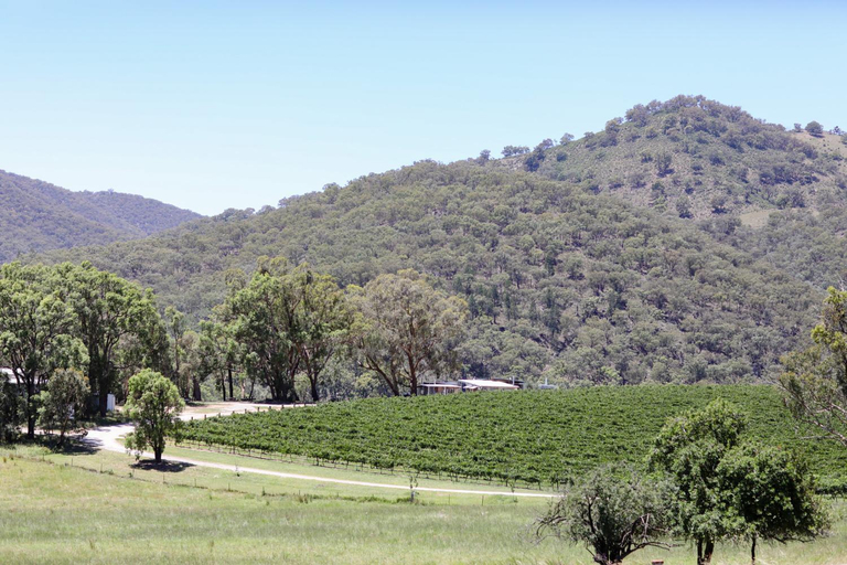 3, Vineyard stay at Mudgee, Mid-Western Regional - Pt A