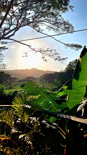 Others 3, Hostal Mama Tayrona, Santa Marta (Dist. Esp.)