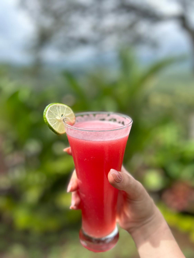 Food & Drinks 4, Punduk Villa - The Manta, Karangasem