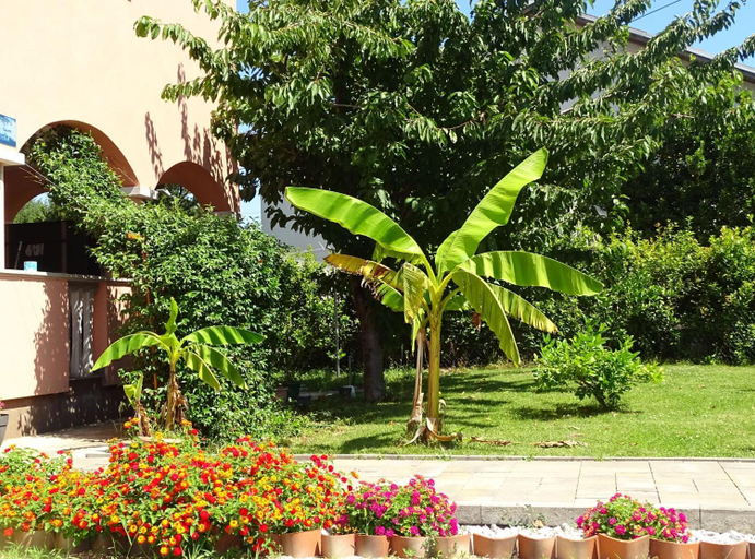 Exterior view 5, Apartmani Luna, Sukošan