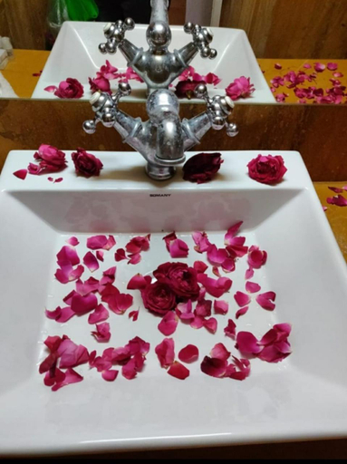 Food & Drinks 5, Hotel Golden Safari, Jaisalmer