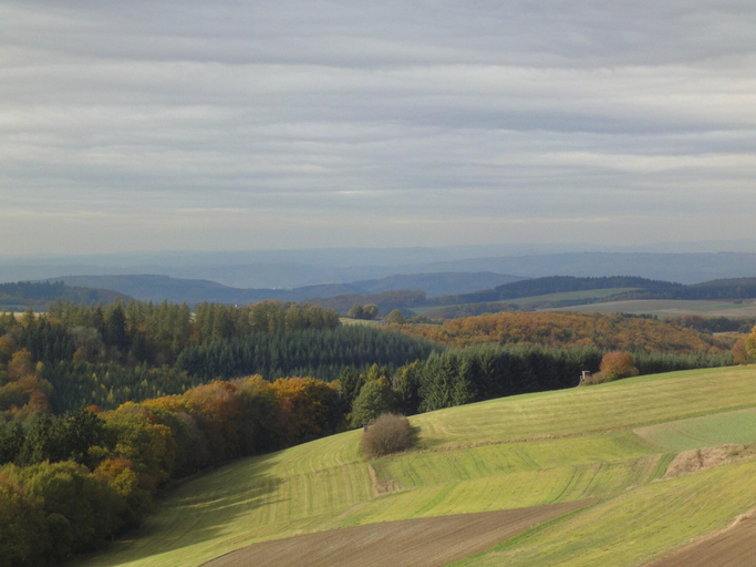 Others 4, Holiday Home Moselle with Private Sauna, Bernkastel-Wittlich