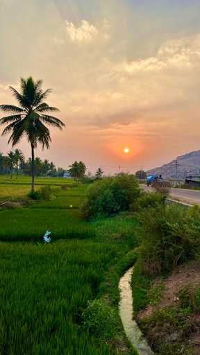 Others 4, Tropical Hampi, Koppal