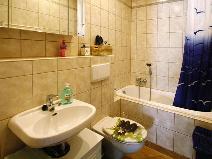 Bathroom 3, Wohnung in Ellefeld nahe Skipisten, Vogtlandkreis