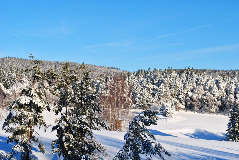 Surrounding environment 4, Ferienwohnung Kappauf / Petrik, Tirschenreuth