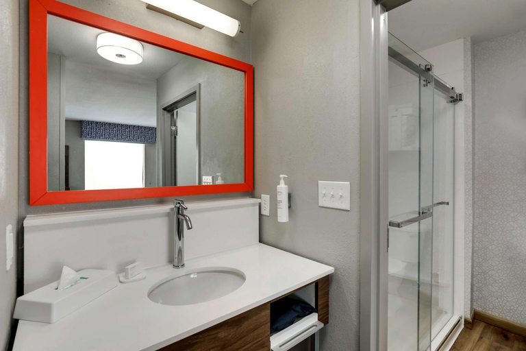 Bathroom, Hampton Inn & Suites St. Louis-Edwardsville, Madison
