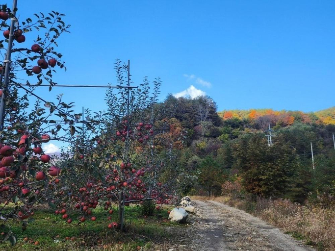 Others 4, Danyang Haneulmaru Private Pension, Yeongwol