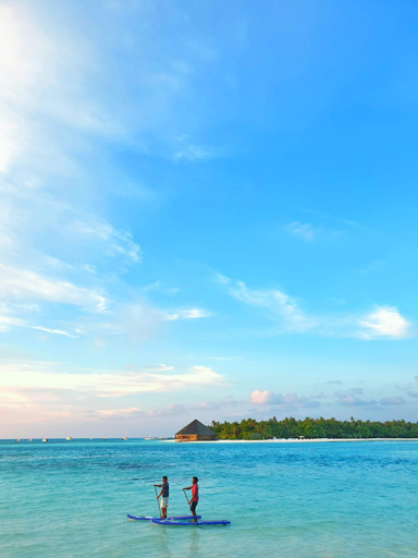 Others 4, The Turtle Hive Maldives - Velaa Vani Dhiffushi, Kaafu Atoll