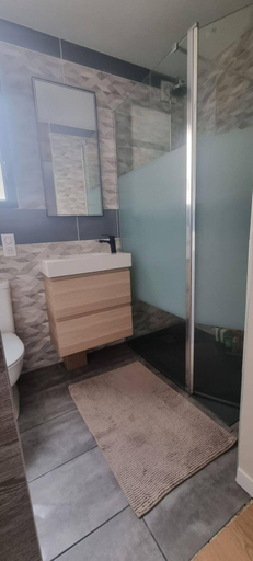 Shower, Chambre dans logement ⸱ Chez Ana, Sarthe