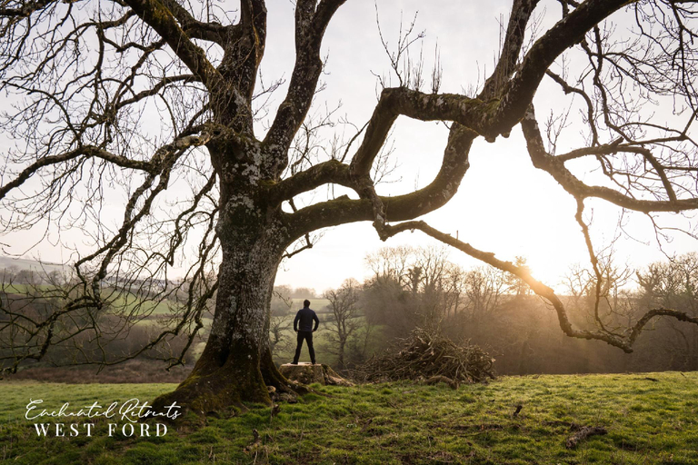 Others 5, Enchanted Retreats at West Ford Devon, Devon