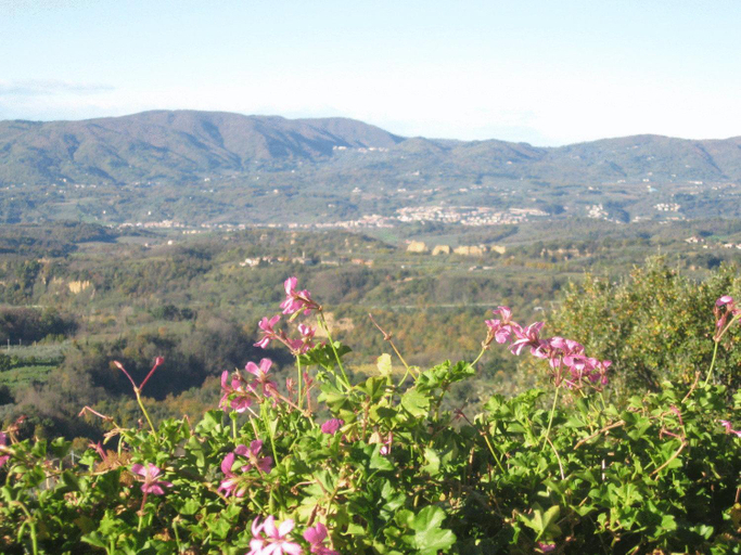 Others 5, Agriturismo La Capitata, Arezzo