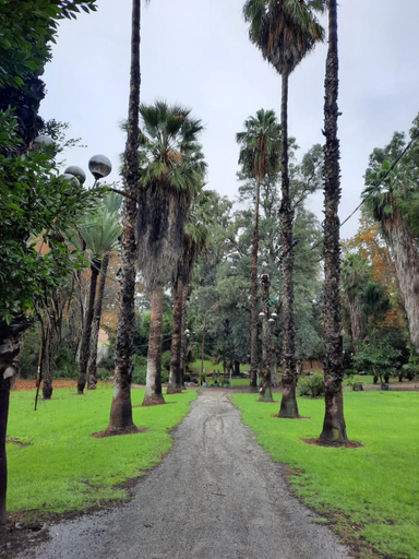 Others 5, איילת השחר אירוח גלילי - Ayelet Hotel