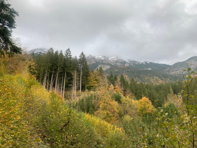 Others 3, Waldblick - Neubau - Self-Check-In - kein Verkehr - am Wald - Parkplatze vor Tur - apartment or doub, Innsbruck Land
