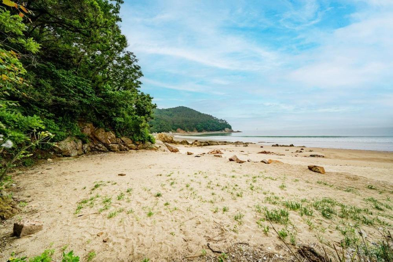 Others 4, Bakripo Badawa Padosori Camping pension, Taean