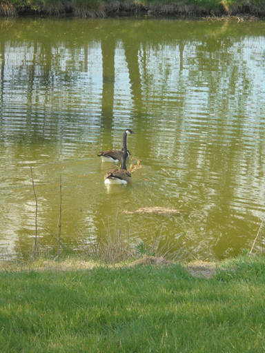 Others 5, Au Bord de L'Eau, Luxembourg