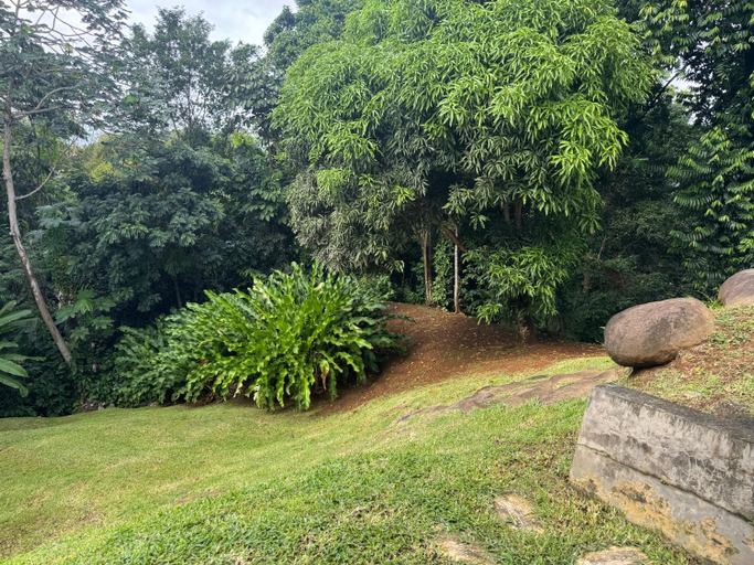 Others 5, Aluna Ecolodge, Petit-Bourg
