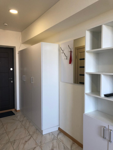 Others 5, Apartmant in Kyiv for you, Solomians'kyi
