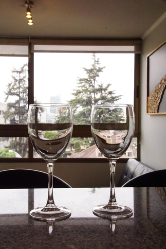 Others 4, Providencia Apart Hotel, Santiago