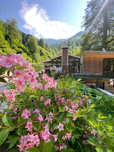 Others 4, Ayder Gencal Villa, Ardeşen