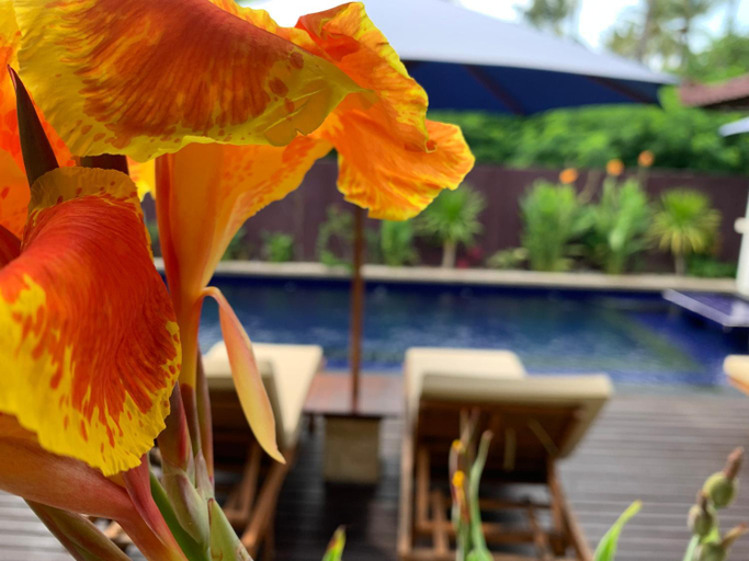 Food & Drinks 5, Relax Villas Gili Air, Lombok