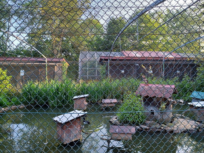 Others 5, Schones Ferienhaus mit grossem Garten bei Stadlern, Schwandorf