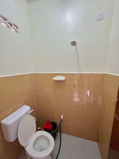 Others 4, Roomstay Ehsan, Pekan