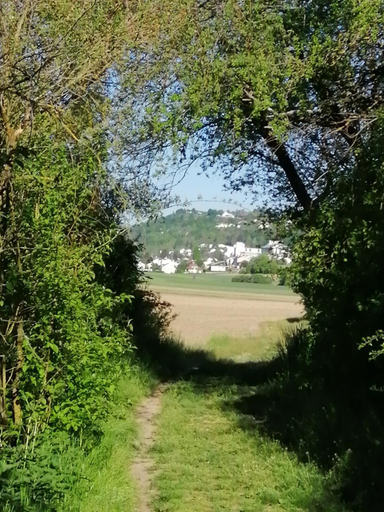 Others 4, Ferienwohnungen Stark, Kelheim
