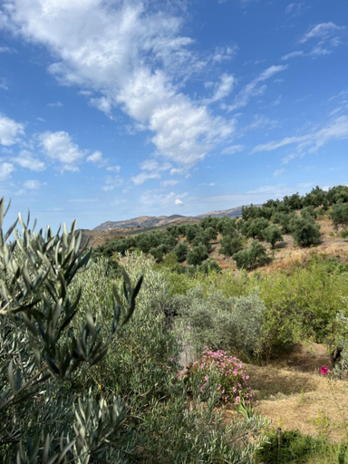 Others 5, Cortijo alhijra big yourte, Granada