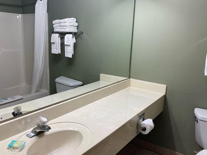 Bathroom, Hometown Inn, Cheboygan