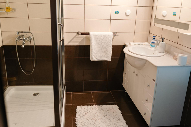 Bathroom 4, Ande House, Orsova
