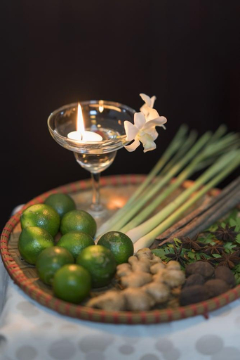 Food & Drinks 5, Paloma Cruise, Hạ Long