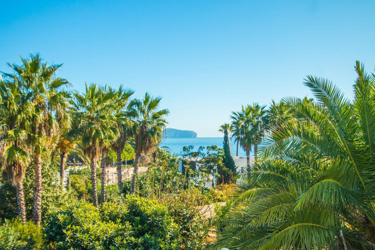 Others 4, Villa Garlanda - PlusHolidays, Alicante