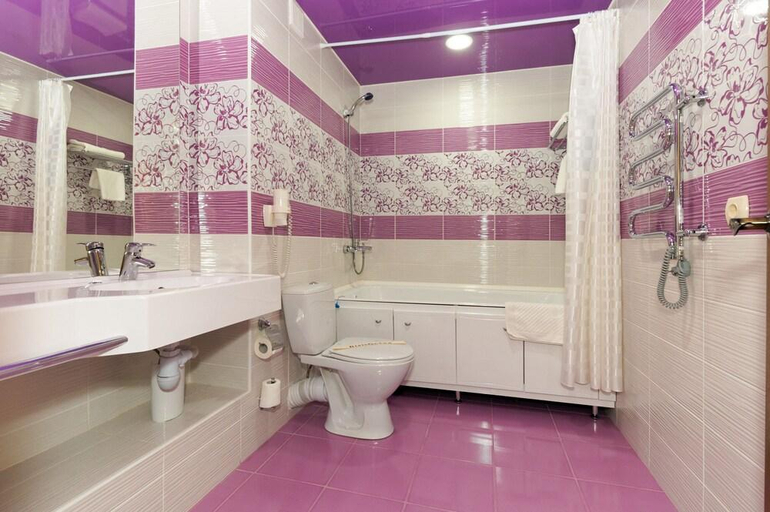 Bathroom 3, Hotel Druzhba, Blagoveshchenskiy rayon