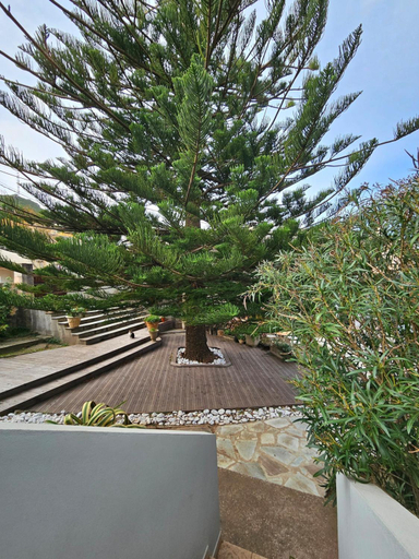4, Domaine U Pozzu, Haute-Corse