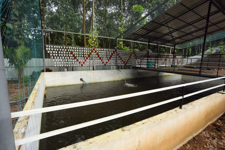Others 5, Karingens Resort, Ernakulam