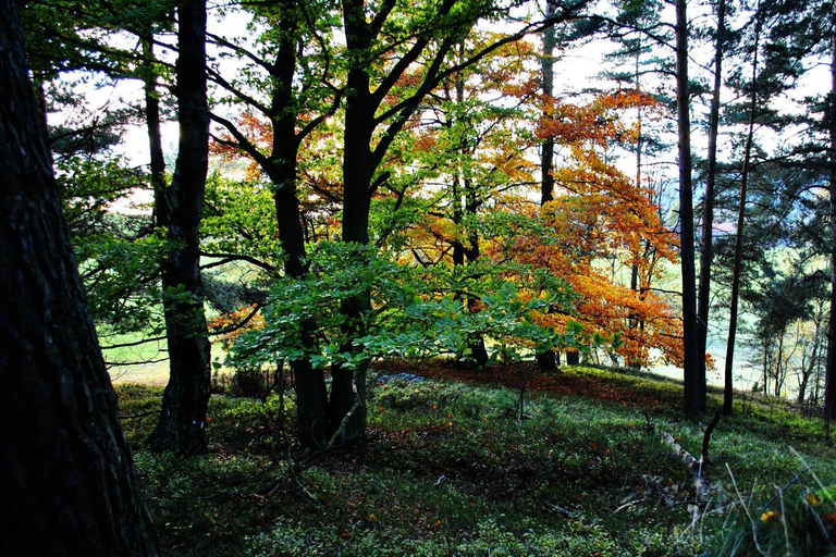 Surrounding environment 2, Ferienwohnung Kappauf / Petrik, Tirschenreuth