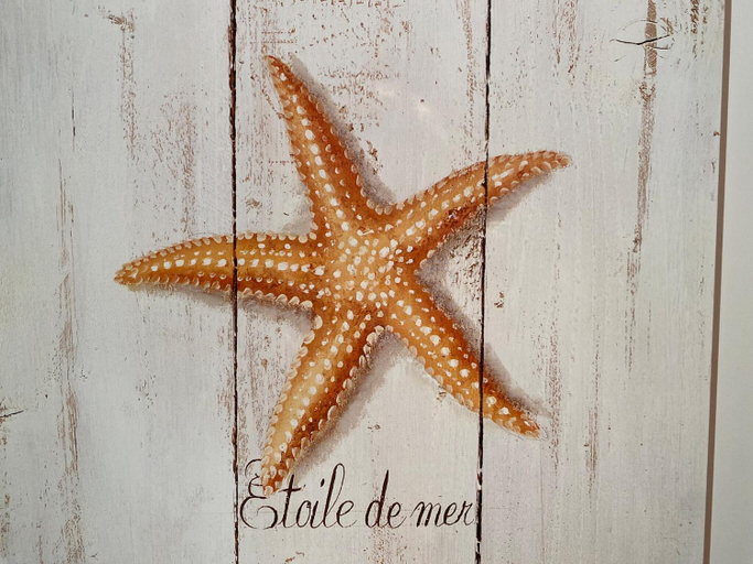 Food & Drinks, Apartment in Nieuwpoort With Sea Views, West-Vlaanderen