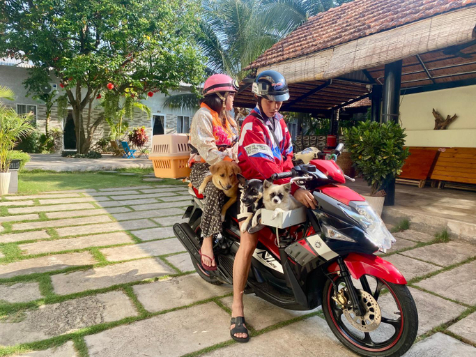 Others 5, Ho Coc Homestay, Xuyên Mộc