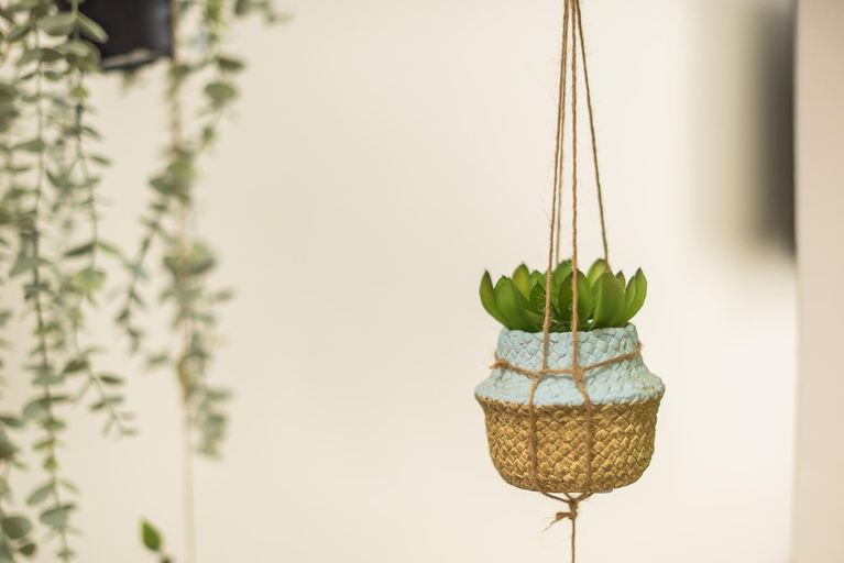 Food & Drinks 3, Boutique Suite by CloudKeys, Attica